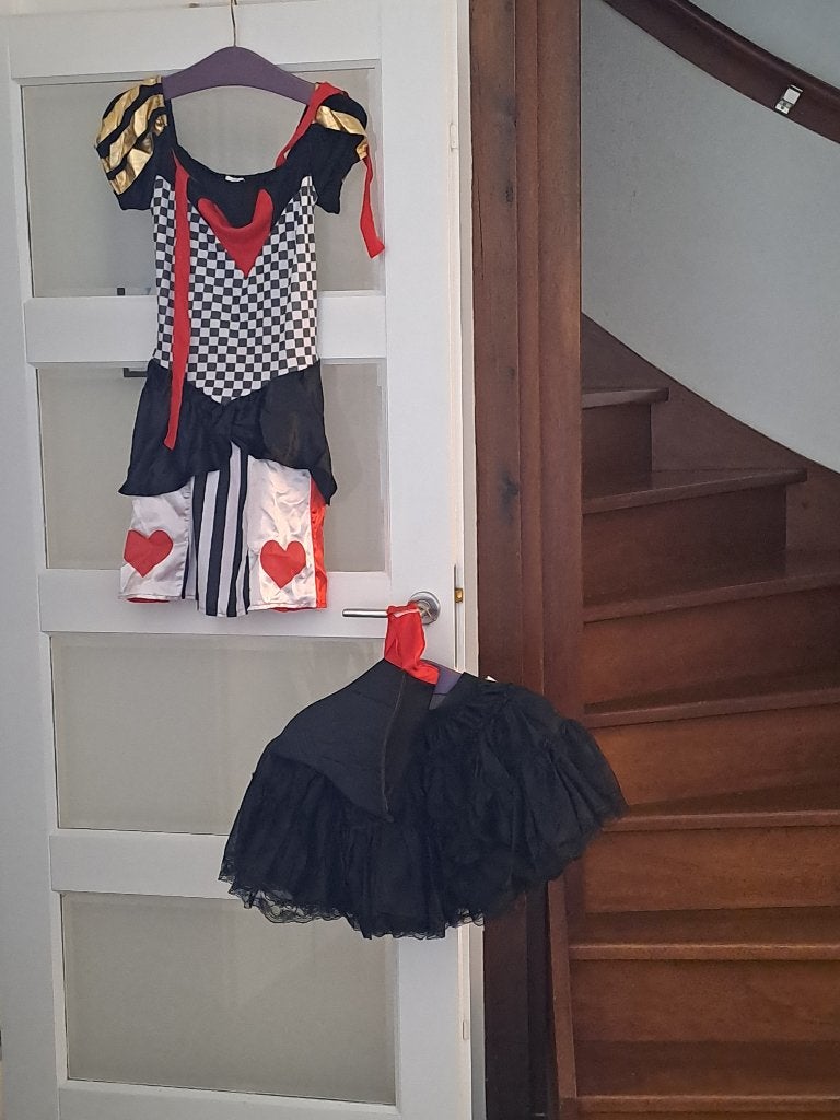 carnaval, Ophalen of Verzenden, Zo goed als nieuw, Maat 42/44 (L), Carnaval