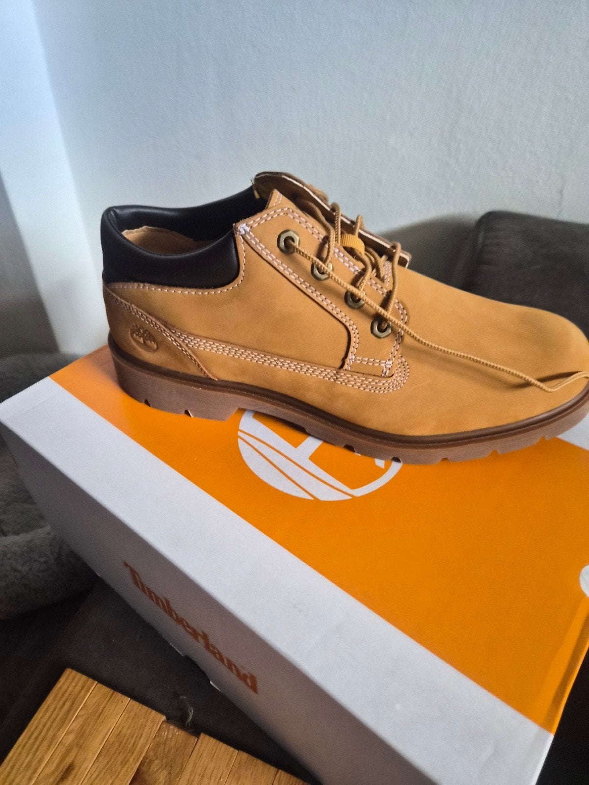 Nieuwe Timberland Classic schoenen - Maat 42.5, Ophalen of Verzenden, Timberland