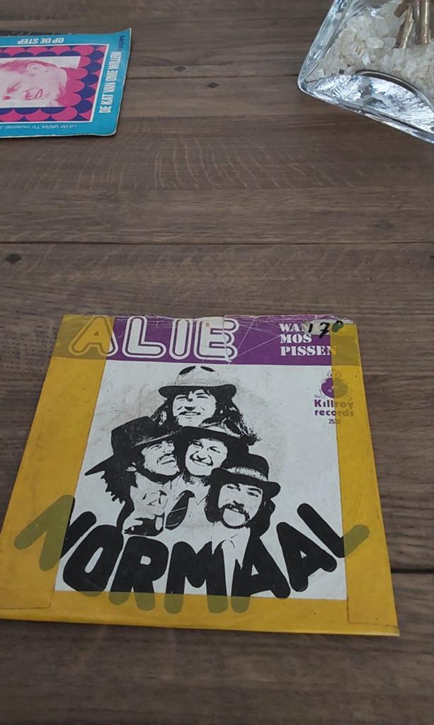 Normaal, Cd's en Dvd's, Vinyl Singles, Ophalen of Verzenden, Gebruikt, Nederlandstalig