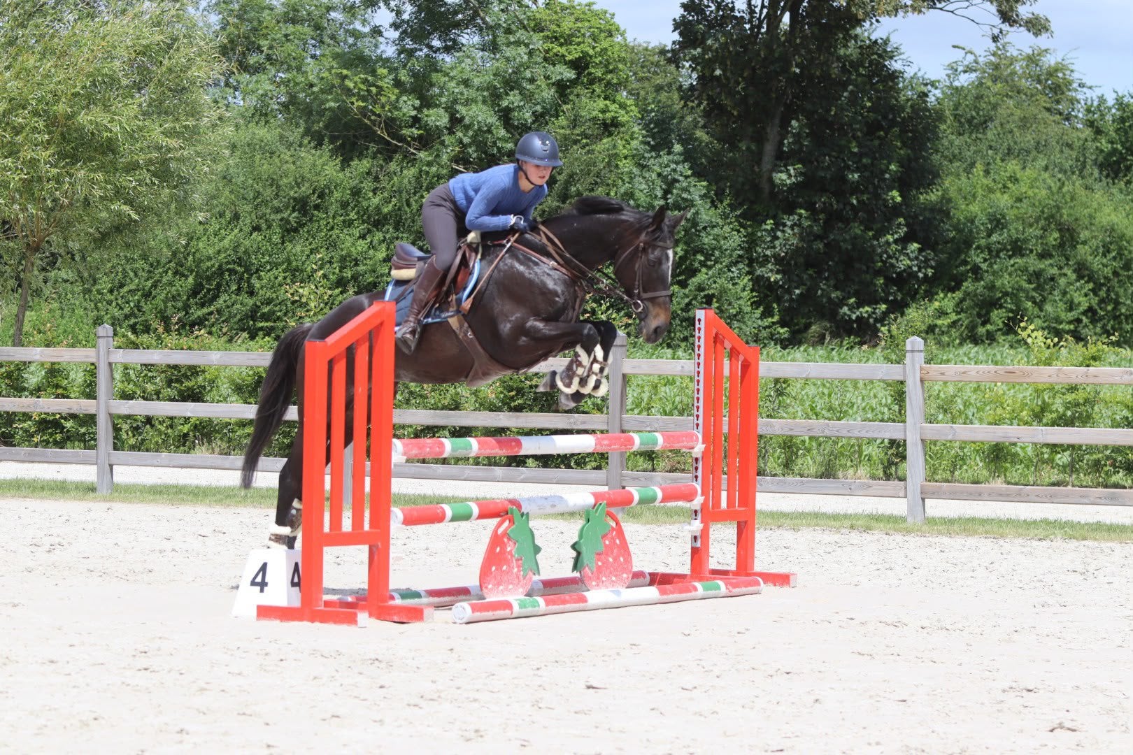 Mooie zwarte merrie van 7 jaar – 1m60, Dieren en Toebehoren, Pony's, Zadelmak, 3 tot 6 jaar, Gechipt, Recreatiepony