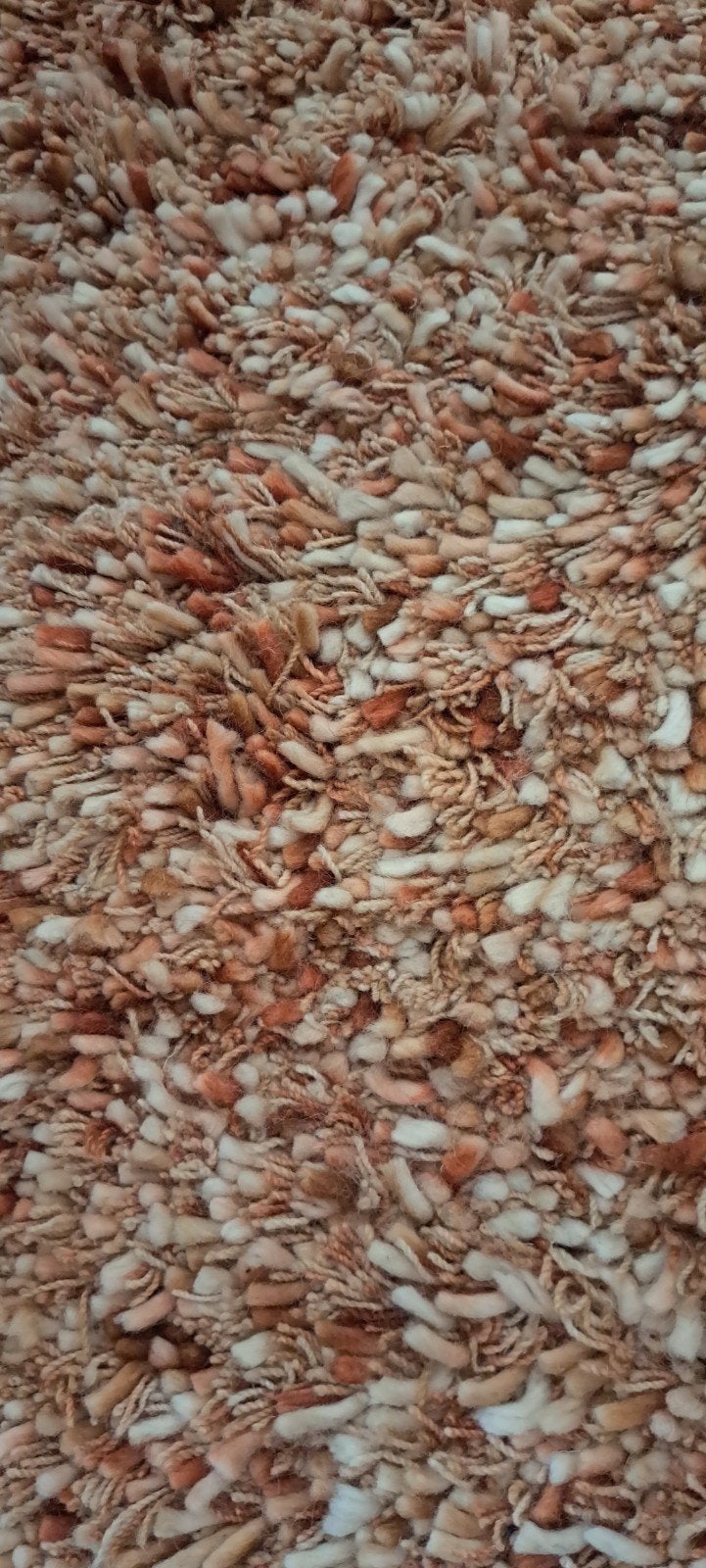 Hoogpolig wollen vloerkleed 200x300 cm, Ophalen, Gebruikt, Bruin, Modern, Warm, Comfortabel