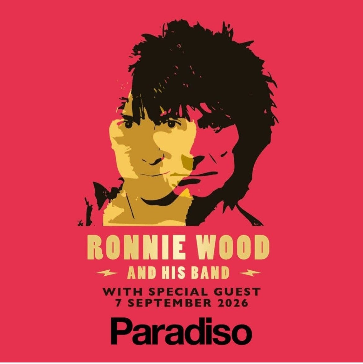 Ronnie Wood Paradiso 07-09-26