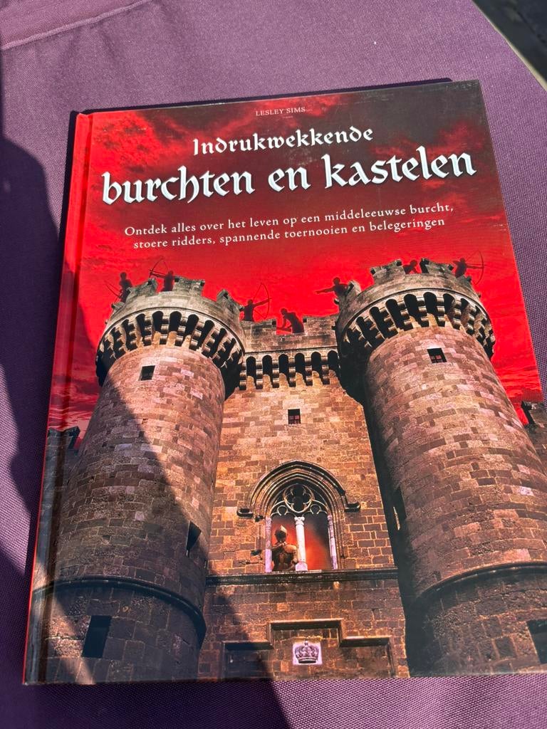 Informatief jeugdboek over burchten en kastelen, Ophalen of Verzenden, Zo goed als nieuw, Lesley Sims, Non-fictie