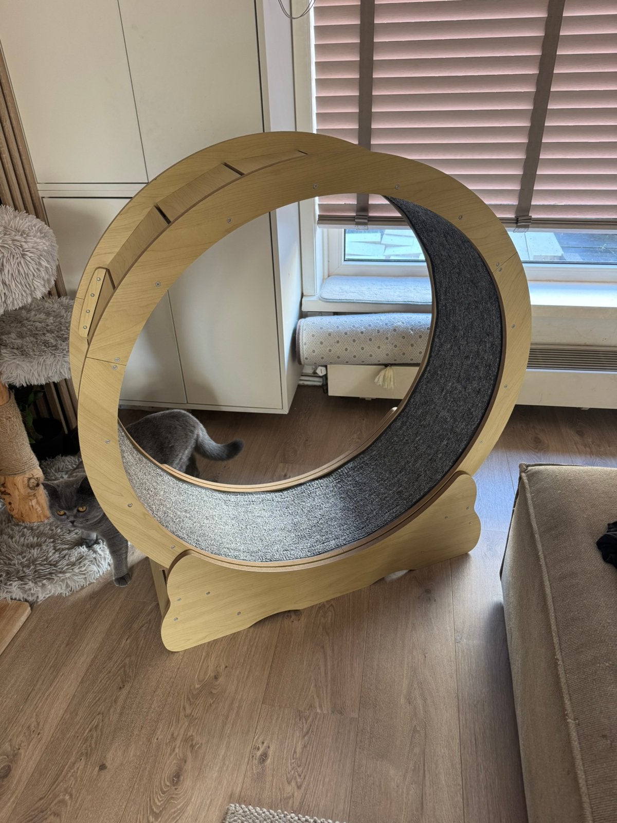 Katten loopwiel, Ophalen, Nieuw