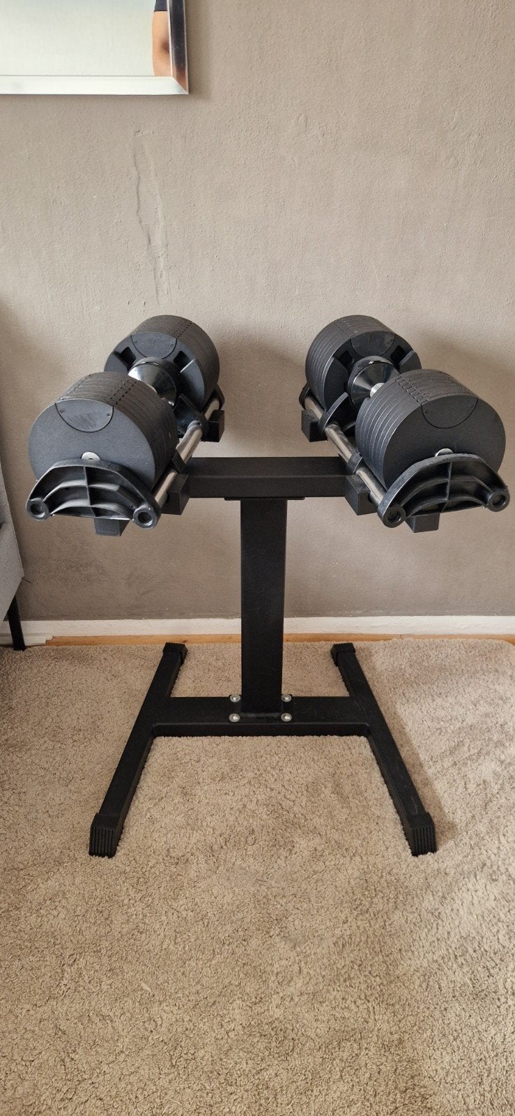 NIEUW - Verstelbare dumbbells 32kg + standaard, Ophalen, Nieuw, Benen, Dumbbell