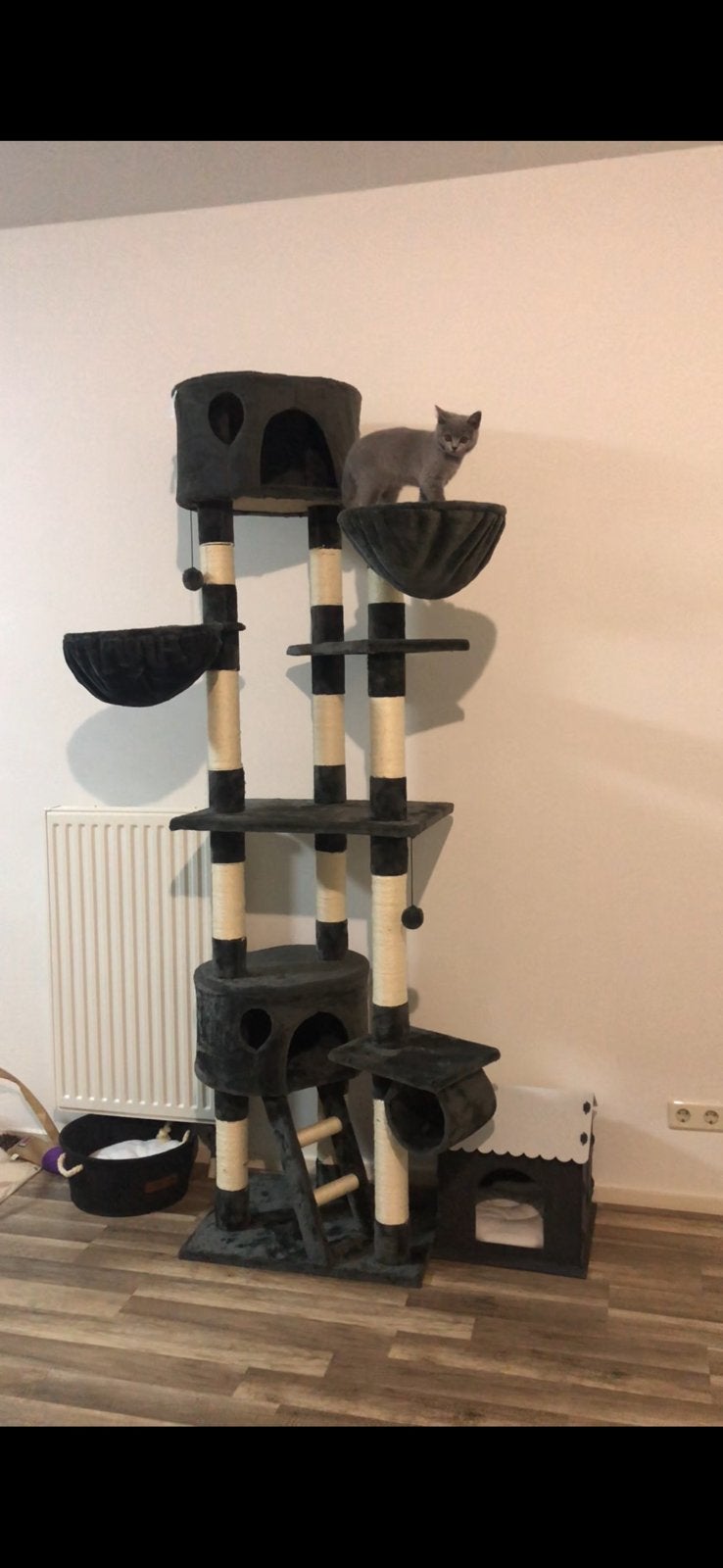 Kattenkrabpaal XXL, Ophalen, Zo goed als nieuw