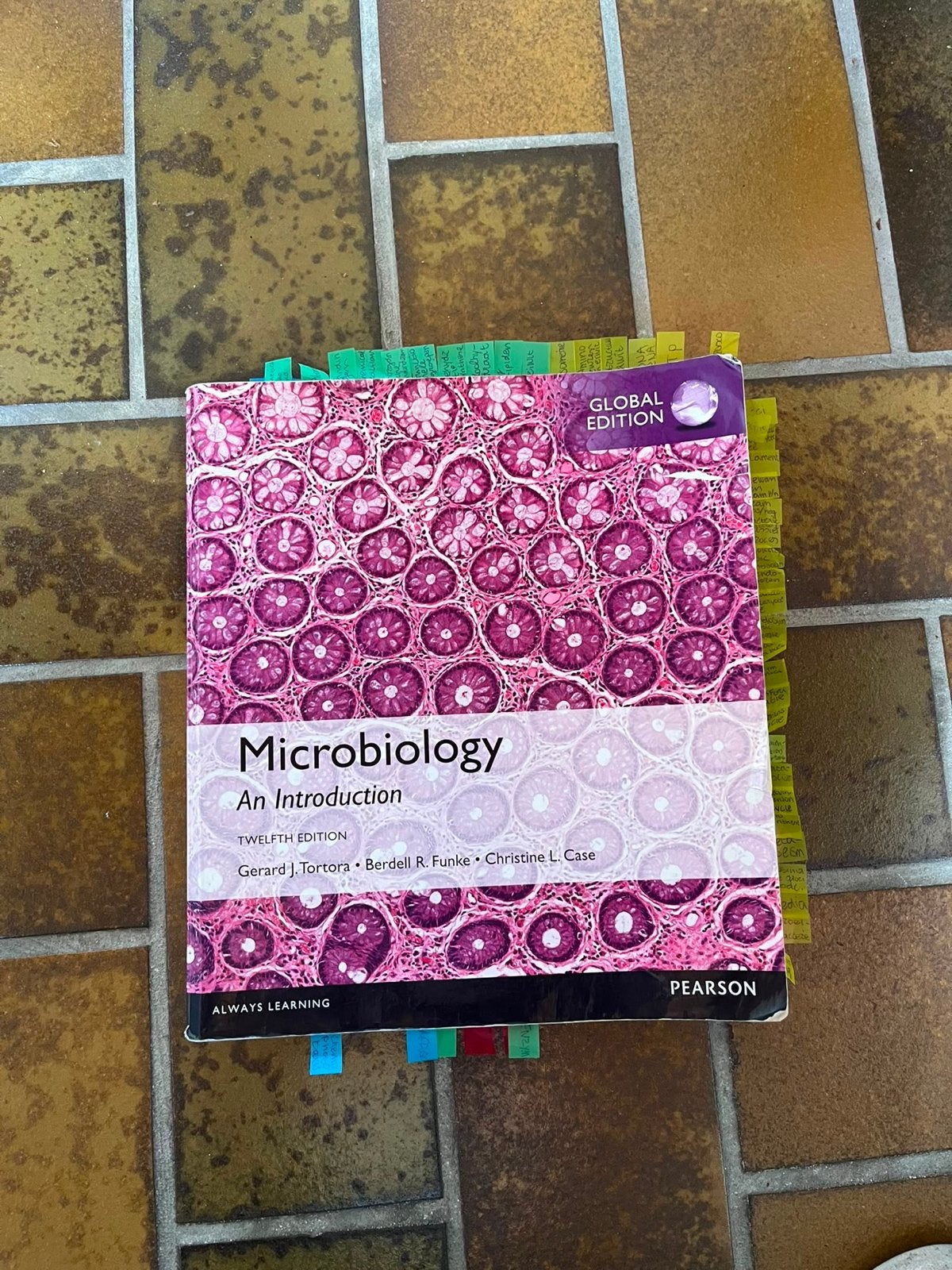 Microbiology: An Introduction - Global Edition, Ophalen of Verzenden, Beta, Gelezen, HBO
