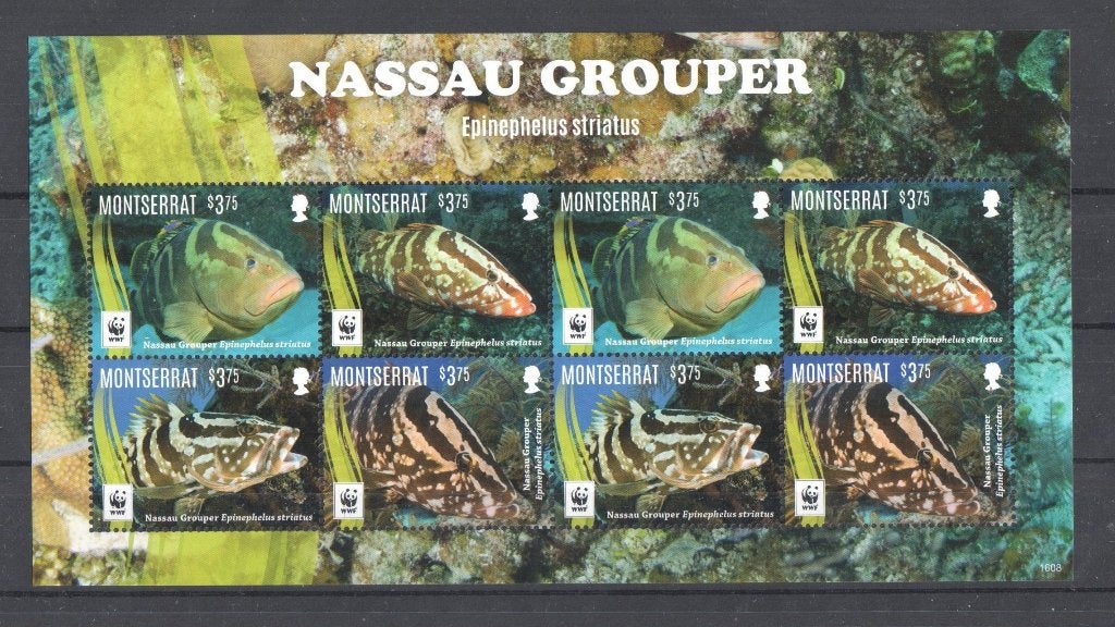 WWF postzegelblok met 2 series zegels v/d Nassautandbaars, Ophalen of Verzenden, Postfris, Dier of Natuur