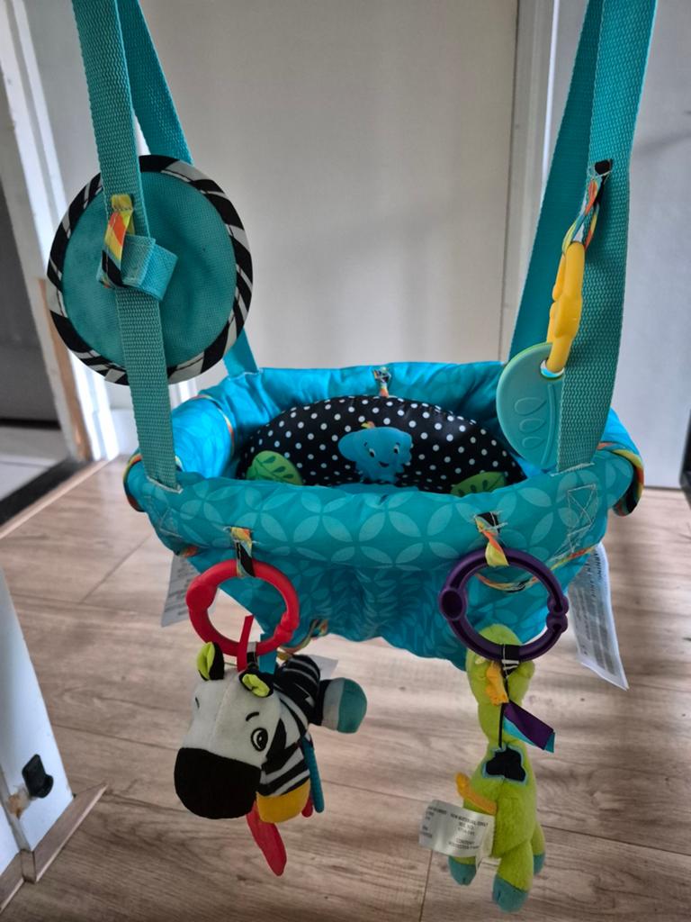 Bright Starts Bounce 'n Spring Deluxe Deur Jumper, Ophalen of Verzenden