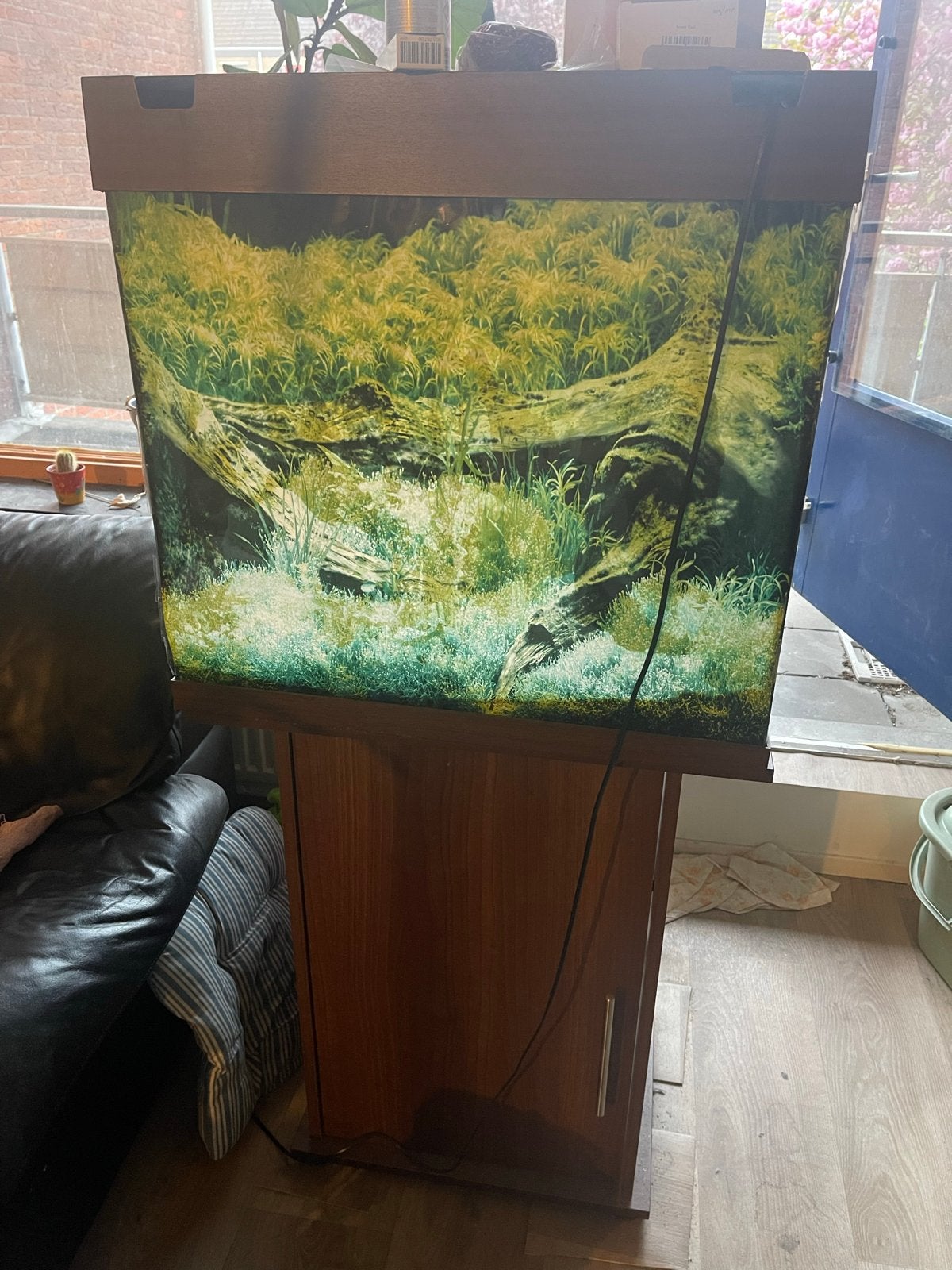 Juwel Lido 120 aquarium, Ophalen, Gebruikt, Leeg aquarium, Juwel