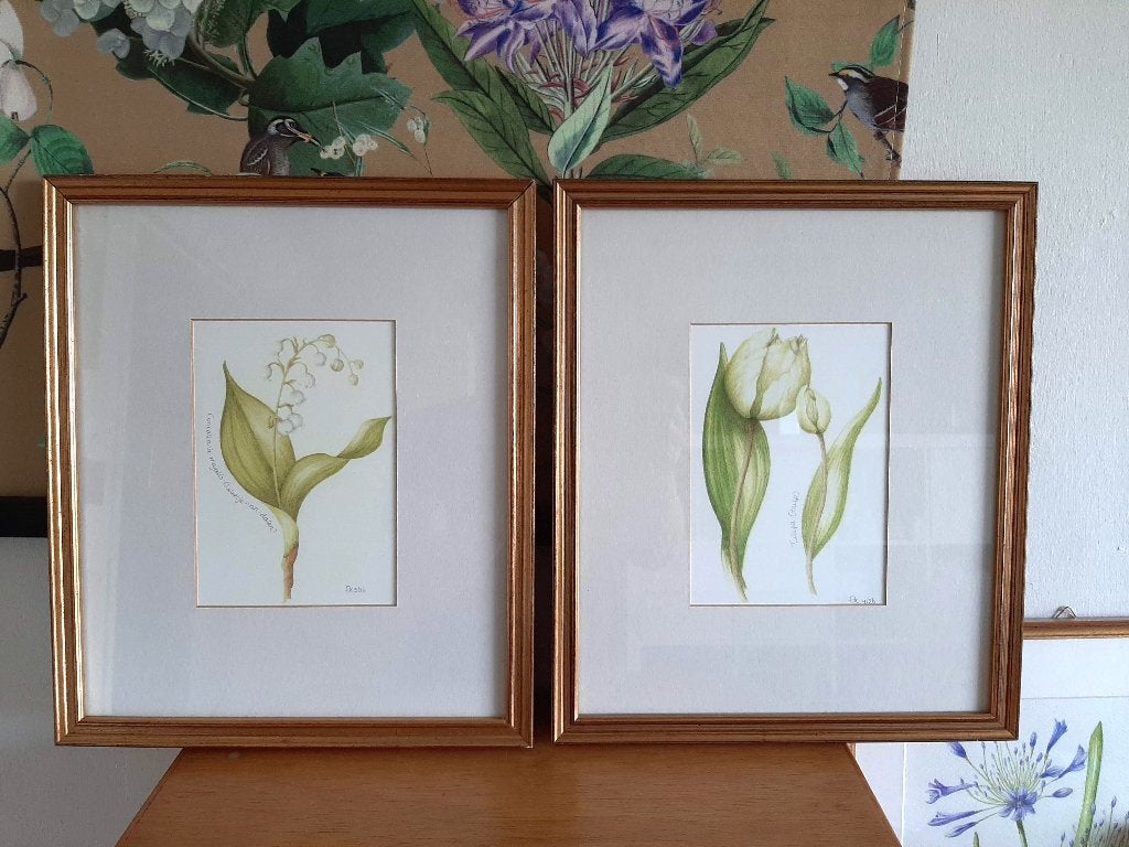 Set botanische tekeningen in vintage lijsten, Huis en Inrichting, Ophalen, Minder dan 50 cm, Gebruikt, Tekening