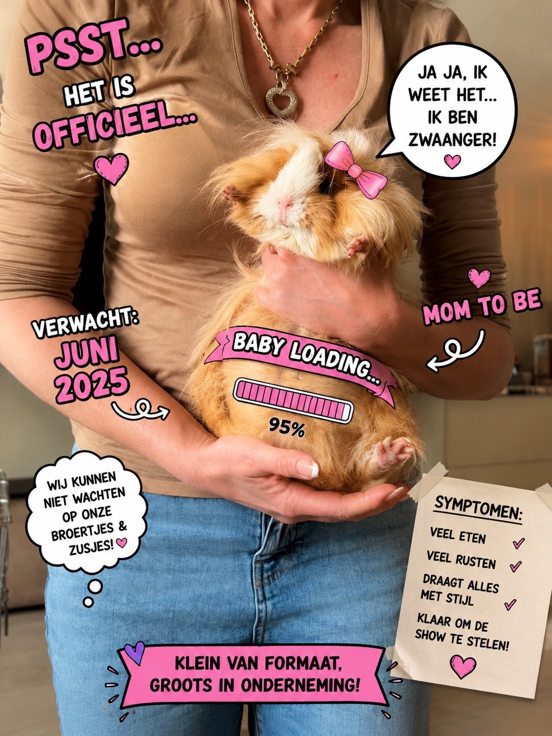 Cavia beertje Peruaan langhaar x gladhaar, Dieren en Toebehoren, Knaagdieren, Cavia, Juni, Mannelijk, Tam