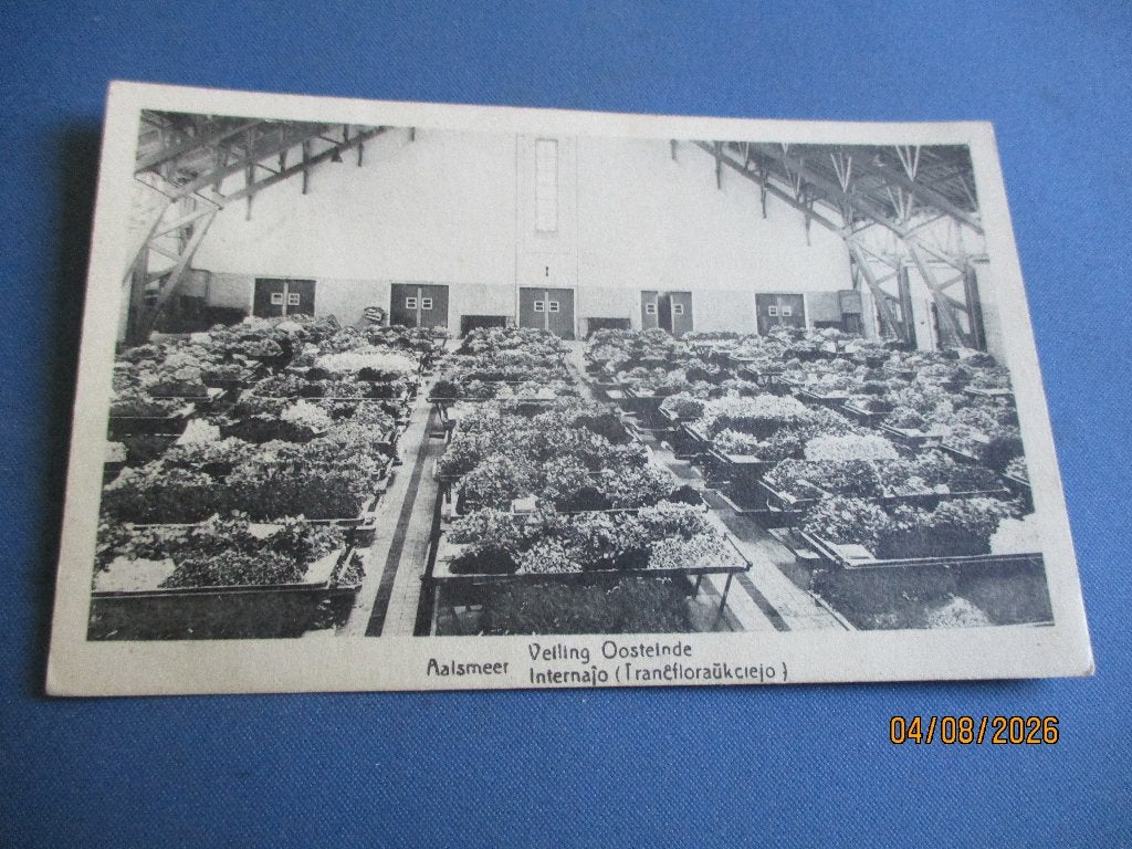 Aalsmeer, Ophalen of Verzenden, Voor 1920, Gelopen, Noord-Holland