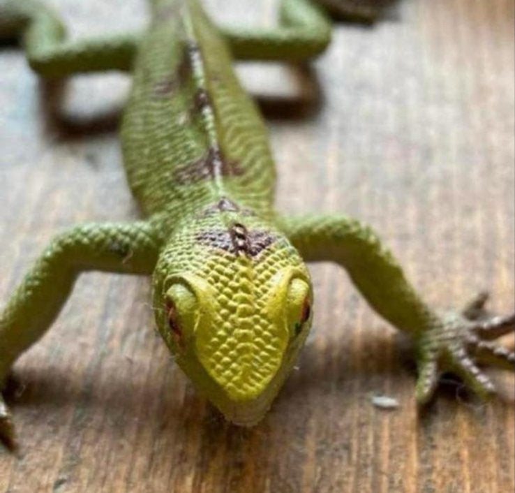 Groene Speelgoed Hagedis - Realistisch Reptiel Figuur, Verzamelen, Dierenverzamelingen, Ophalen of Verzenden, Gebruikt, Beeldje of Figuurtje