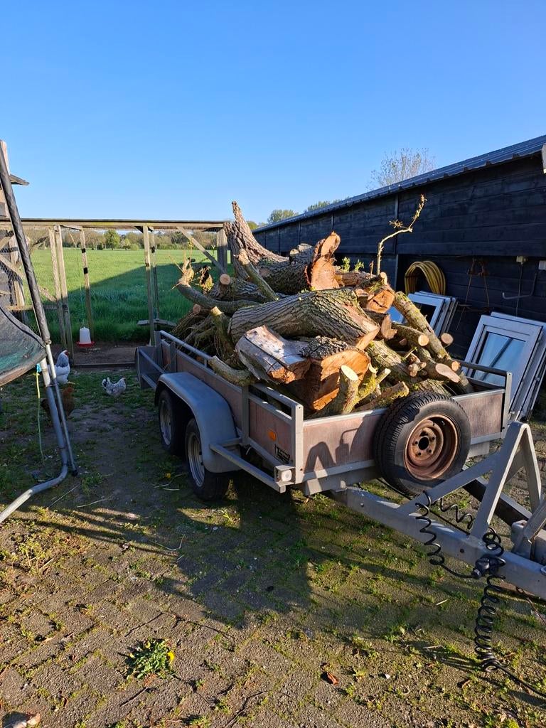 openhaart Hout Wilg 2.5m3, Minder dan 3 m³, Ophalen, Overige houtsoorten, Stammen