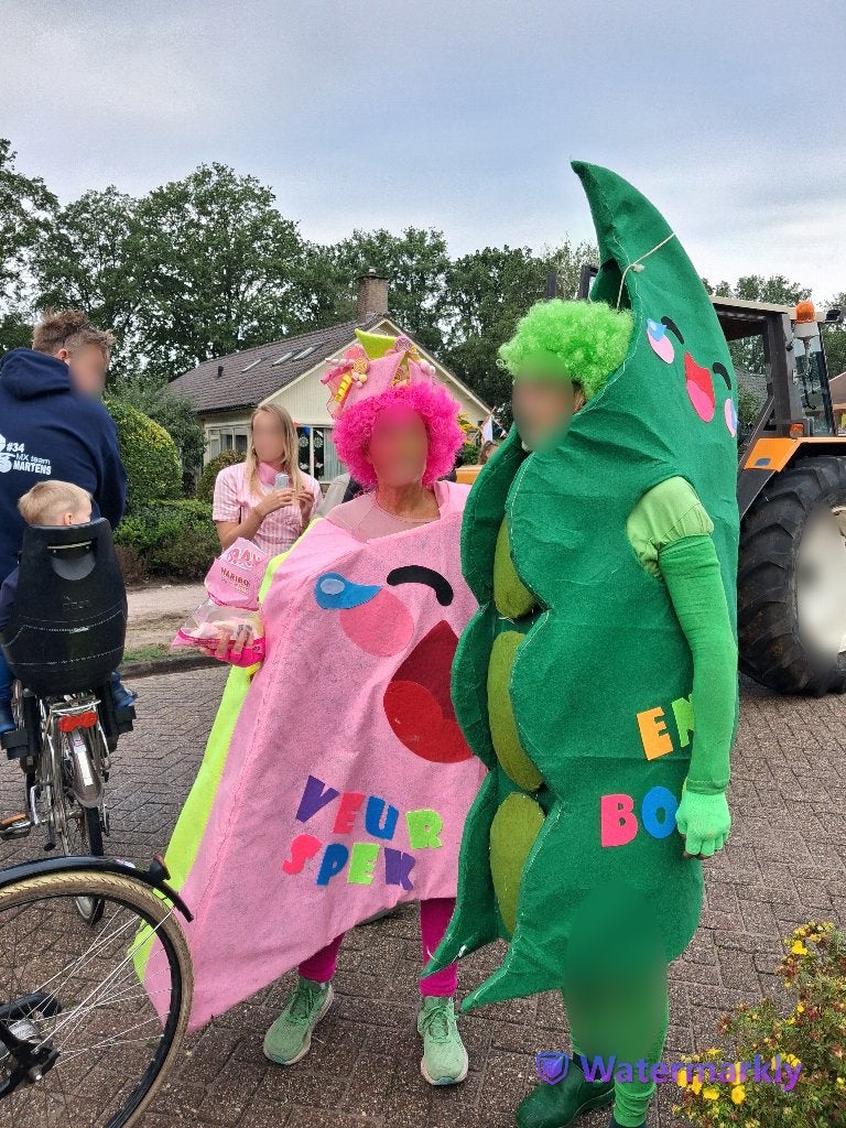 carnaval, Ophalen, Zo goed als nieuw, Kostuum, Carnaval