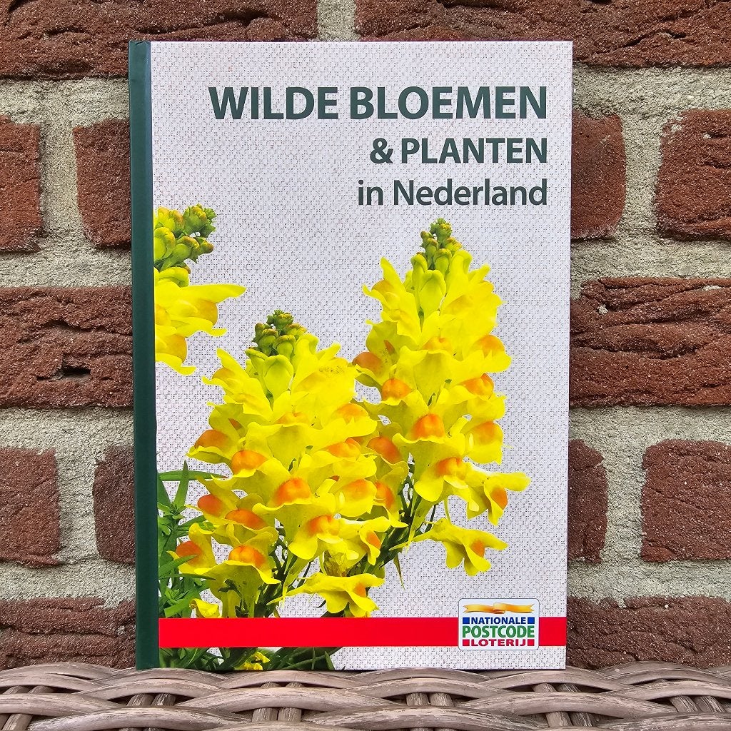 Nieuw! Boek Wilde Bloemen & Planten in Nederland, Boeken, Natuur, Ophalen of Verzenden, Nieuw, Natuur algemeen