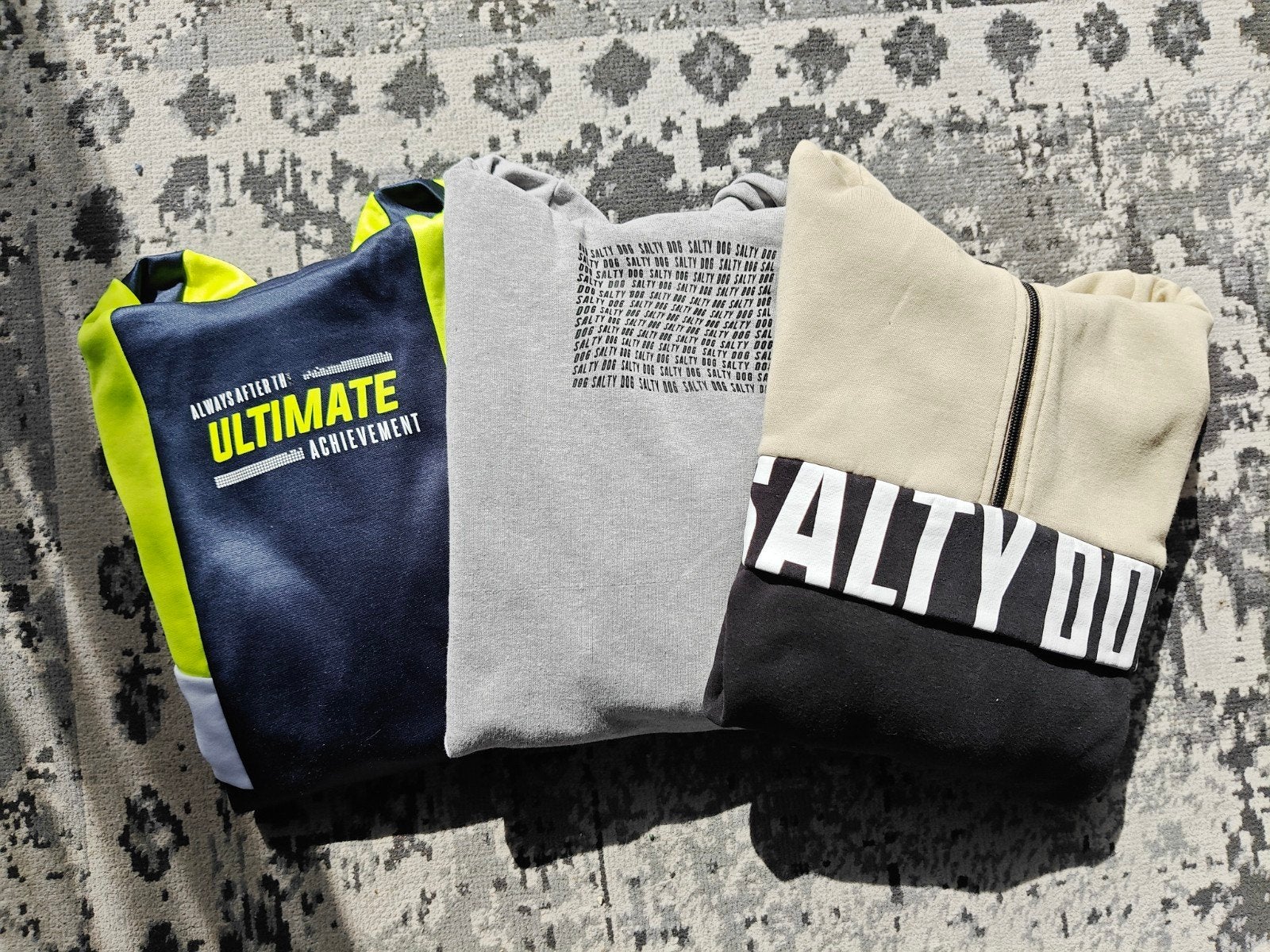 3 Jongens Truien/Hoodies Maat 170/176 - Salty Dog & WE, Trui of Vest, Ophalen of Verzenden, Zo goed als nieuw, Jongen