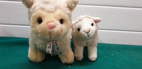 -	Schapenknuffels en beeldjes, Diversen, Ophalen of Verzenden, 'T Olde Gre-j, Info@toldegrej.nl, Endepoelstraat 20f Didam