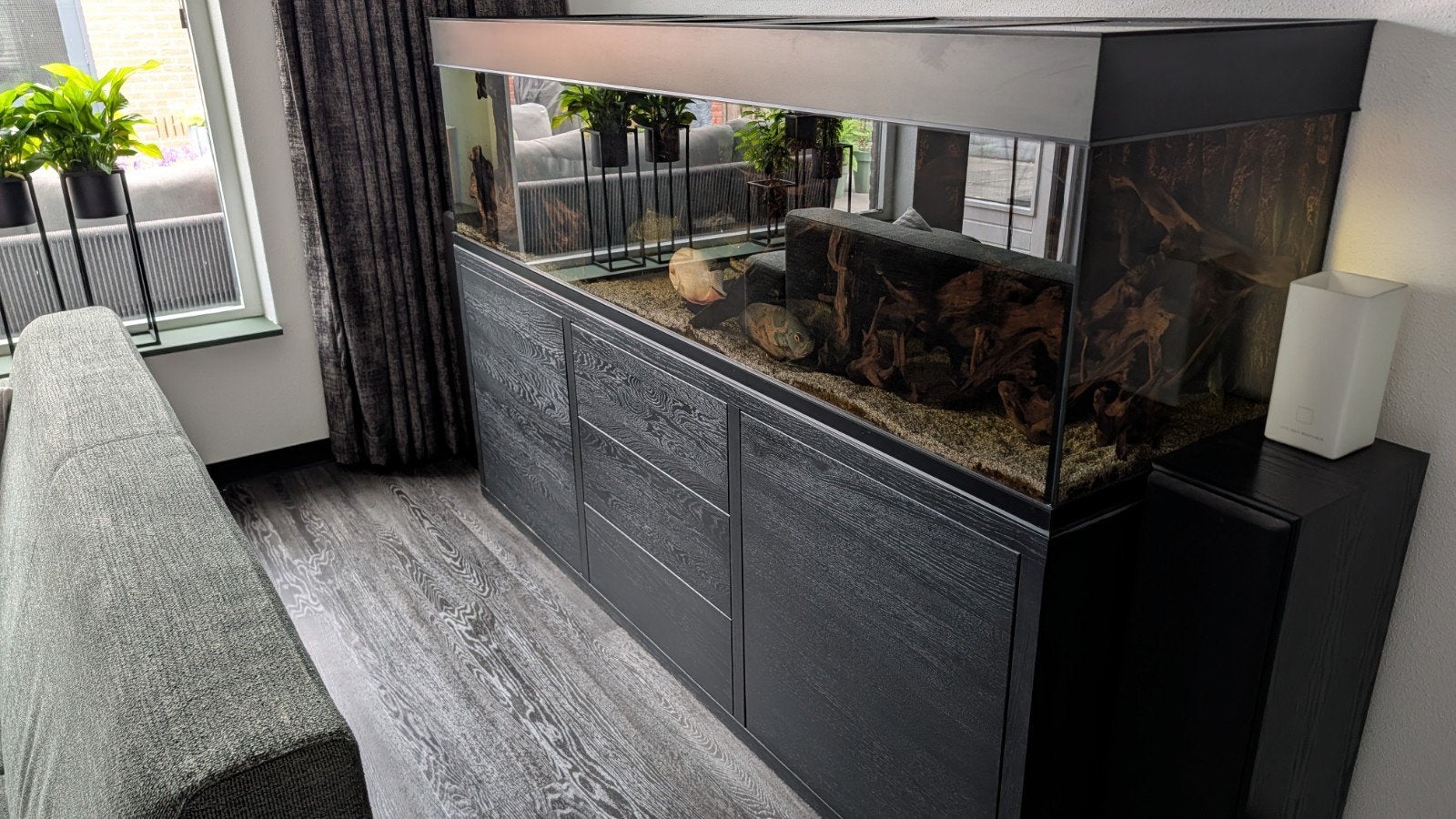 Aquarium met vissen, Ophalen, Gevuld zoetwateraquarium