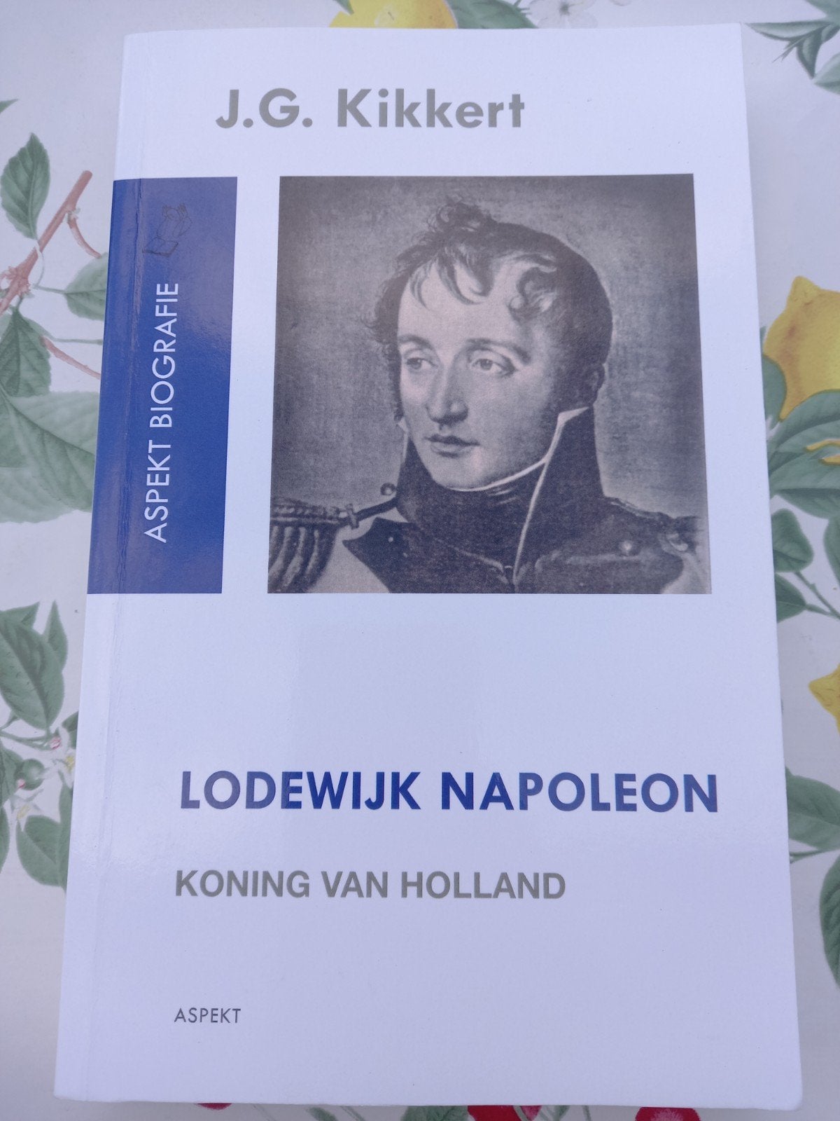 H  J.G. Kikkert - Lodewijk Napoleon, Boeken, Overige Boeken, Zo goed als nieuw, Ophalen of Verzenden