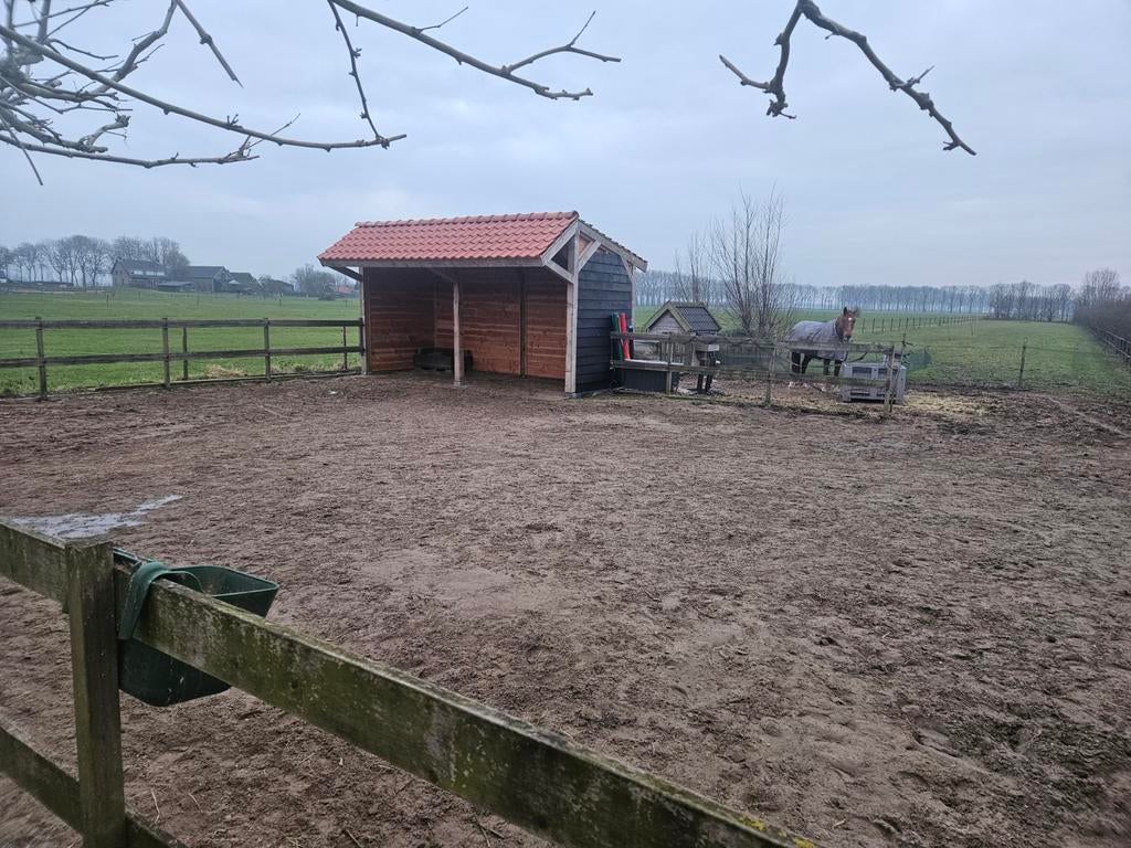 Paarden stalling aangeboden 24/7 buiten, Dieren en Toebehoren, Stalling en Weidegang, Weidegang