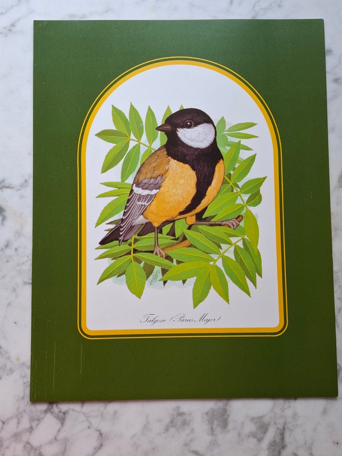 vintage Zweedse vogel poster koolmees
in, Verzenden
