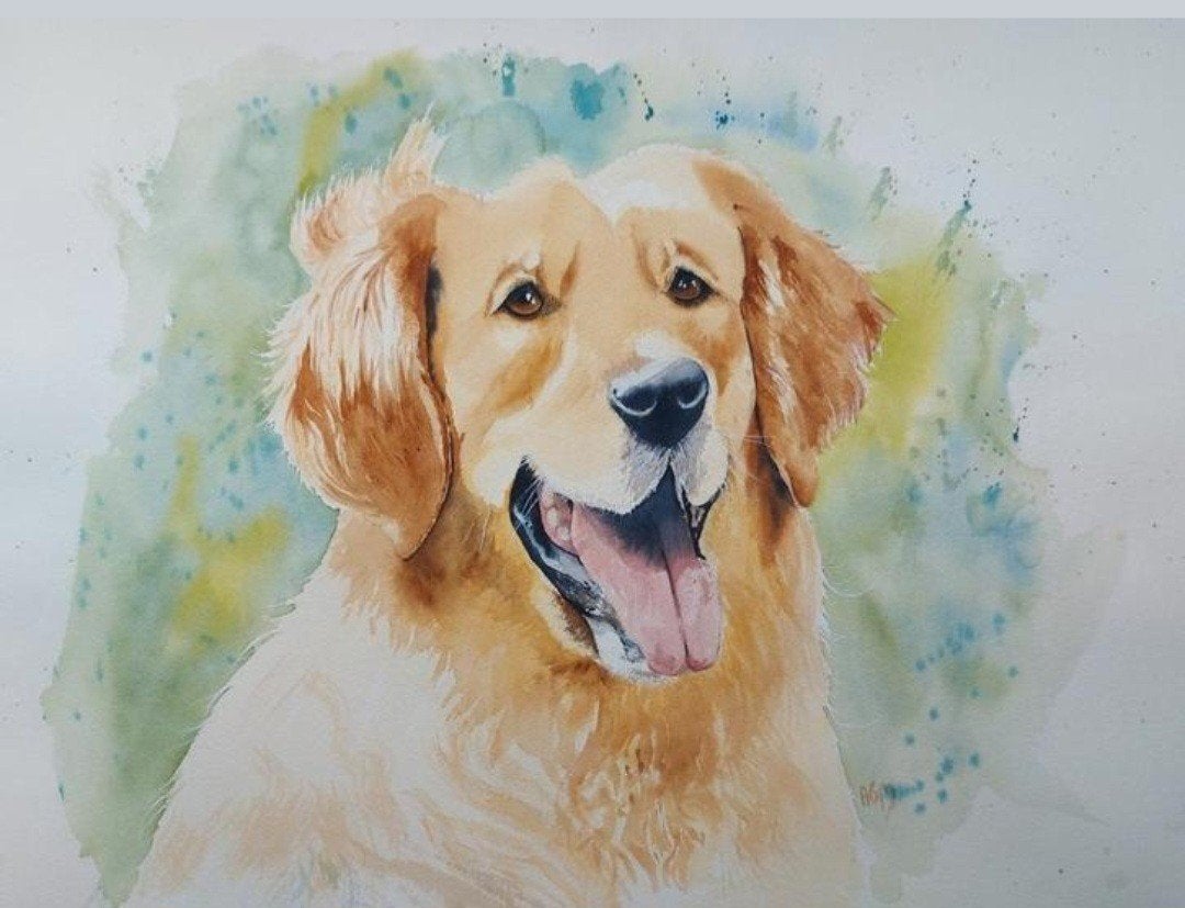 Aquarel golden retriever, Antiek en Kunst, Kunst | Schilderijen | Modern, Ophalen of Verzenden