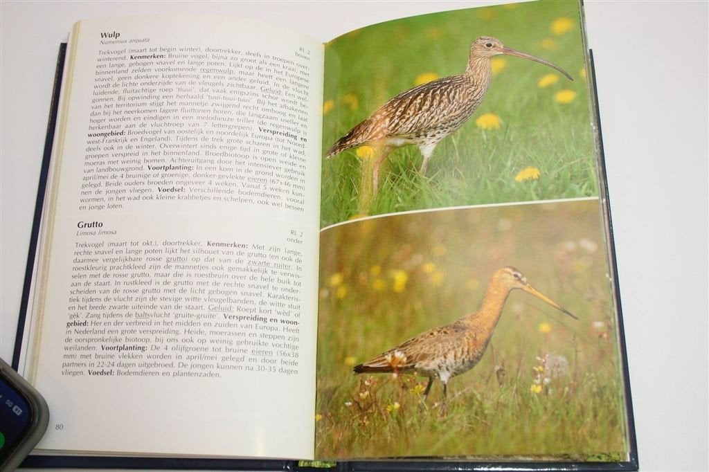 De Complete Vogelgids — Kenmerken, Verspreiding..., Boeken, Ophalen of Verzenden, Zo goed als nieuw, Katten