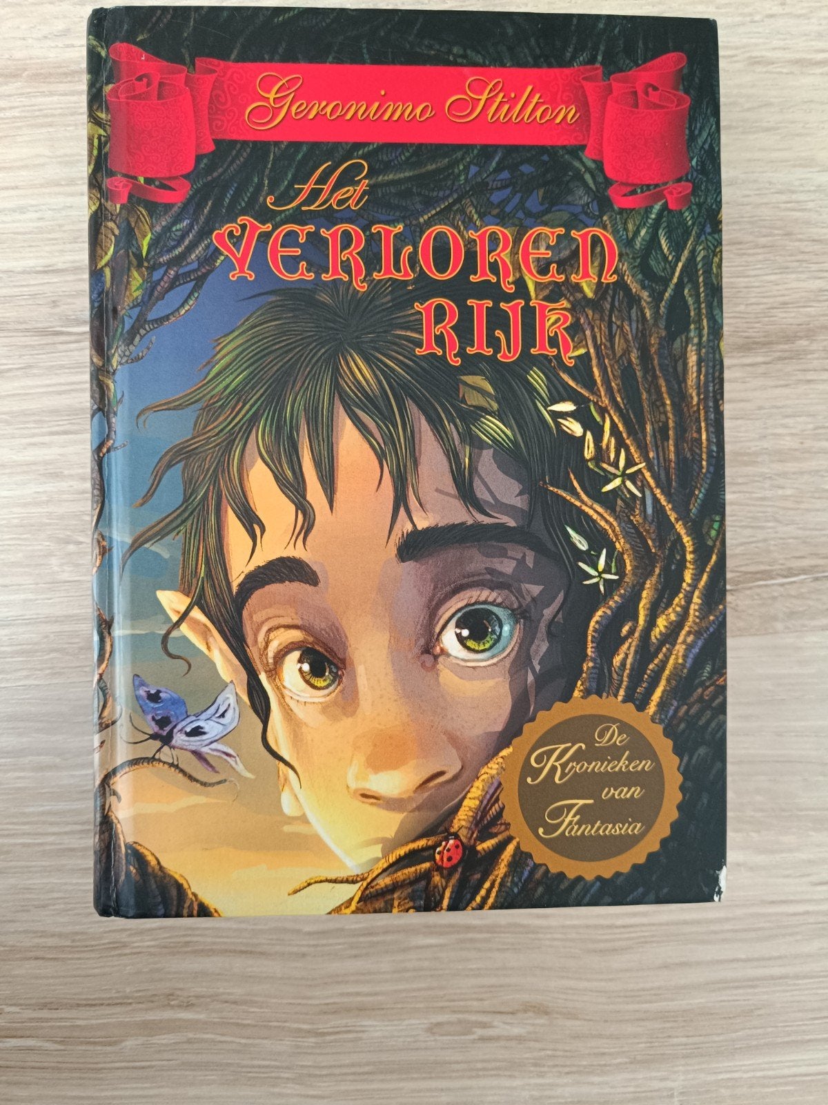 Geronimo Stilton - Het Verloren Rijk, Boeken, Ophalen of Verzenden, Zo goed als nieuw, Geronimo Stilton