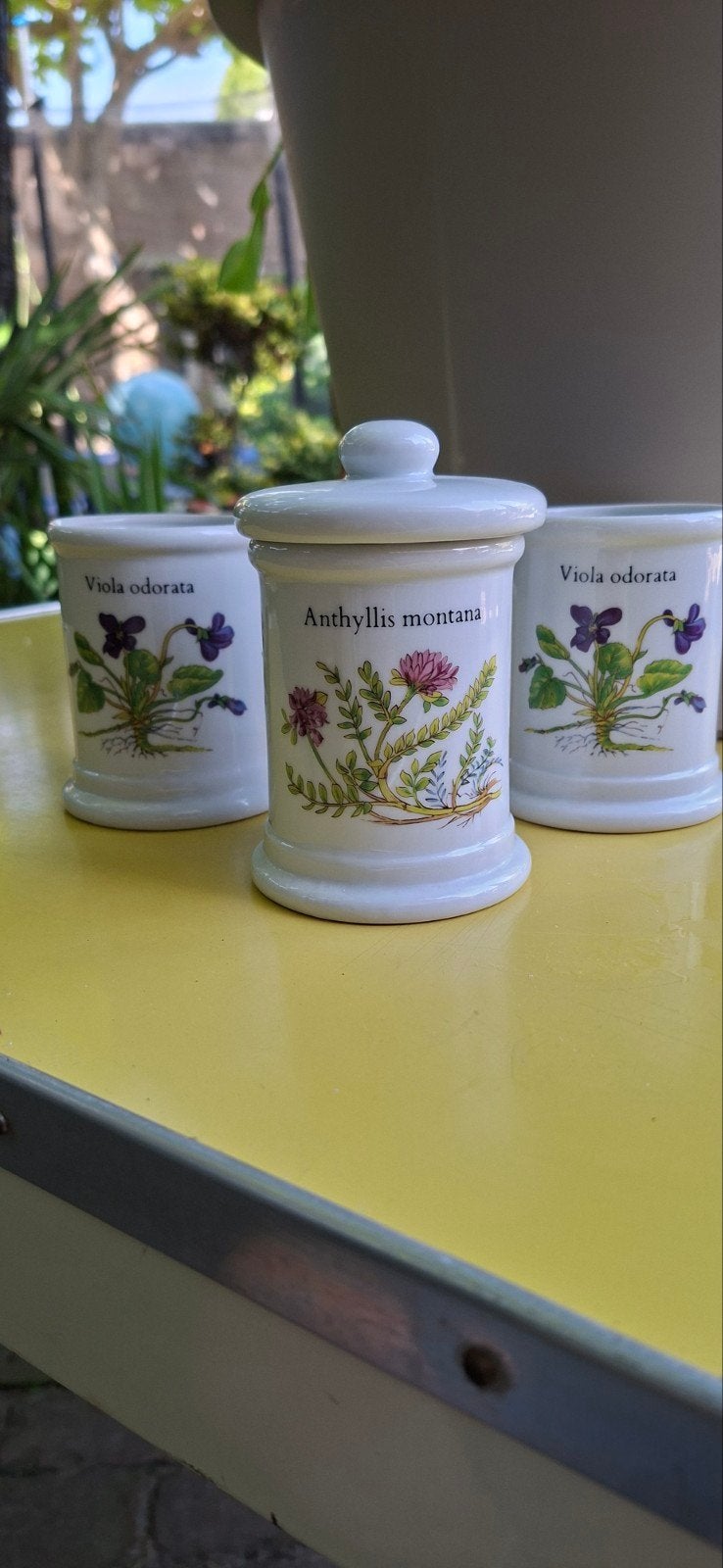 Set van 3 Vintage Apothekerspotjes met Botanische Print, Antiek en Kunst, Antiek | Keramiek en Aardewerk, Ophalen of Verzenden
