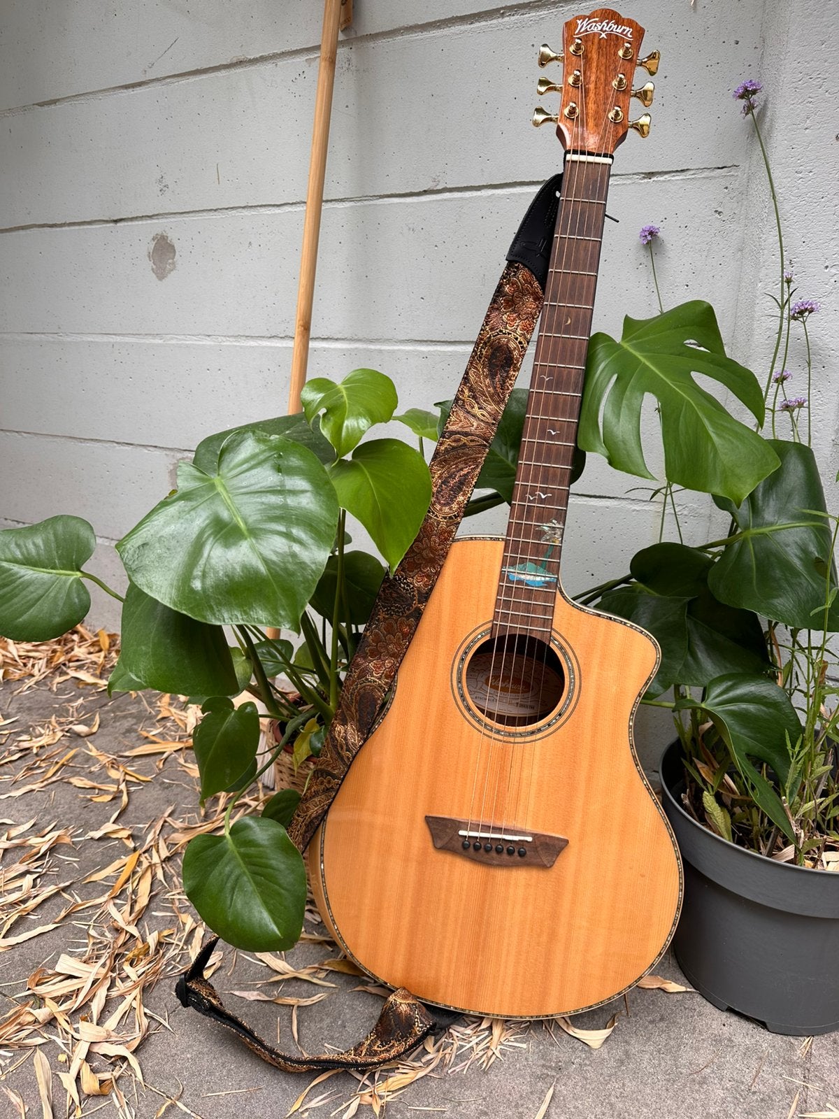 Gorgeous Washburn Guitar from Australia, Muziek en Instrumenten, Snaarinstrumenten | Gitaren | Akoestisch, Ophalen, Zo goed als nieuw
