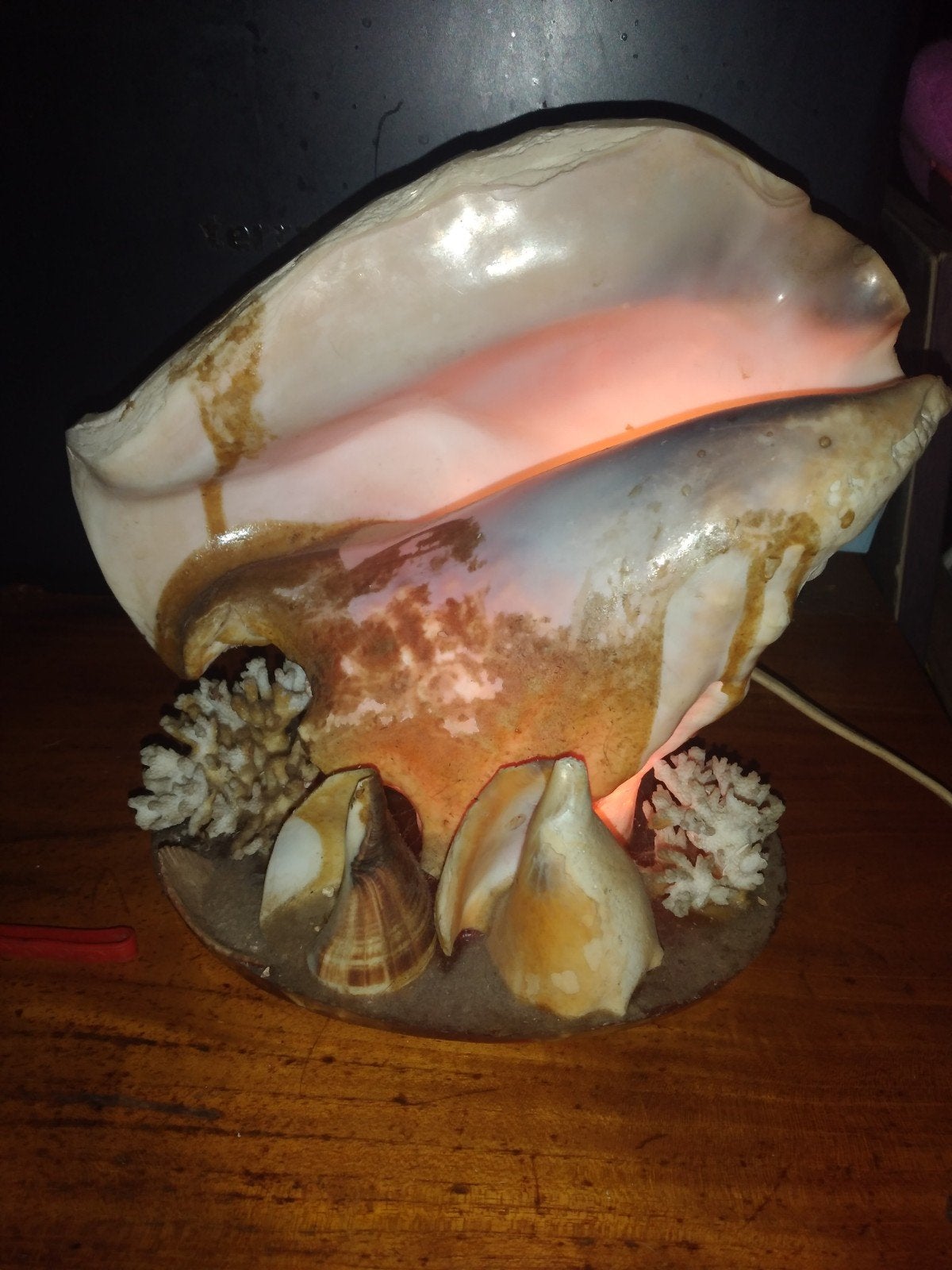 Unieke schelpenlamp - sfeervolle verlichting, Bohemian, Overige merken, Gebruikt, Natuurlijk materiaal
