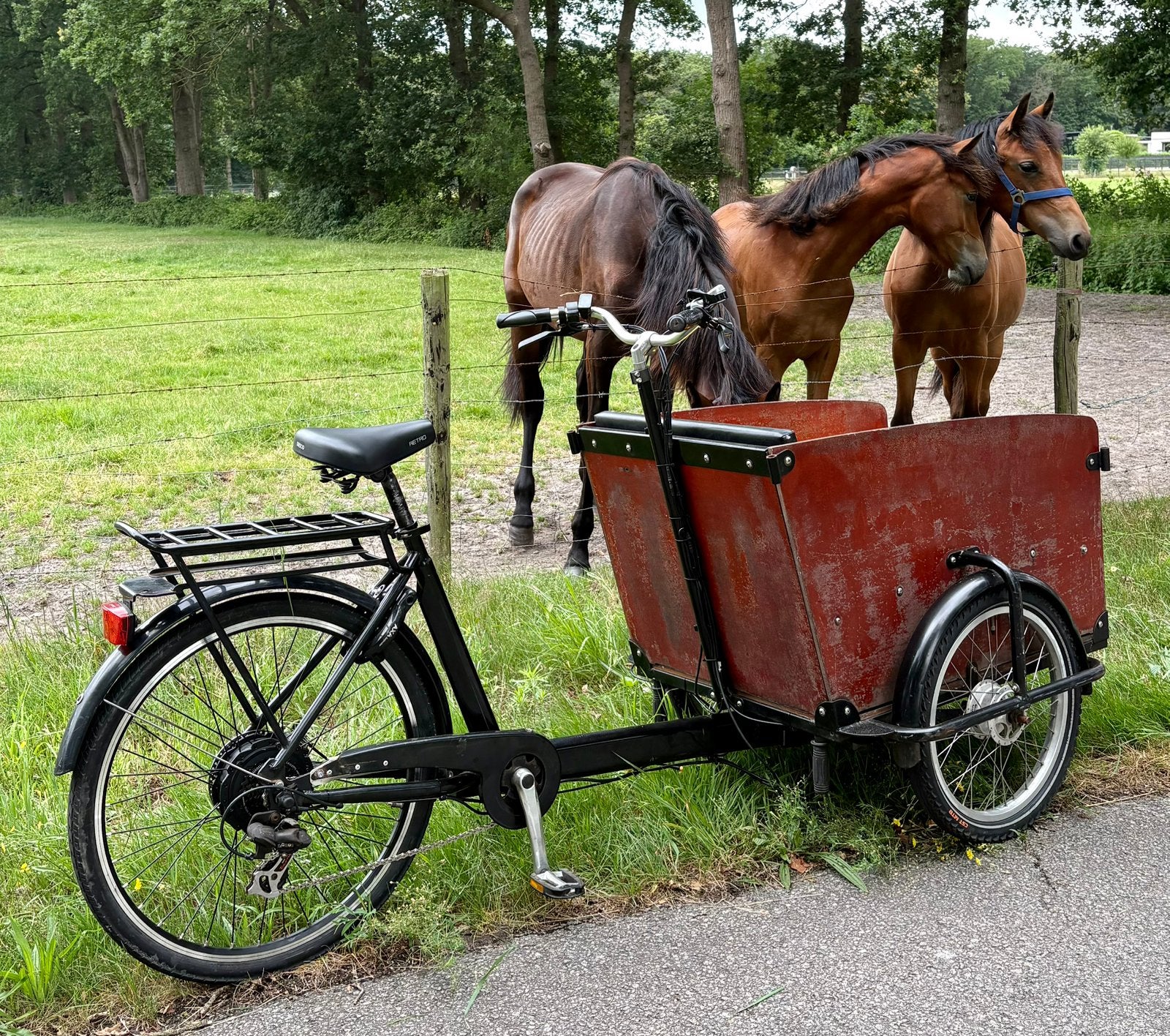 elektrische Babboe bakfiets klaar voor gebruik, Ophalen of Verzenden, Zo goed als nieuw, 4 kinderen of meer