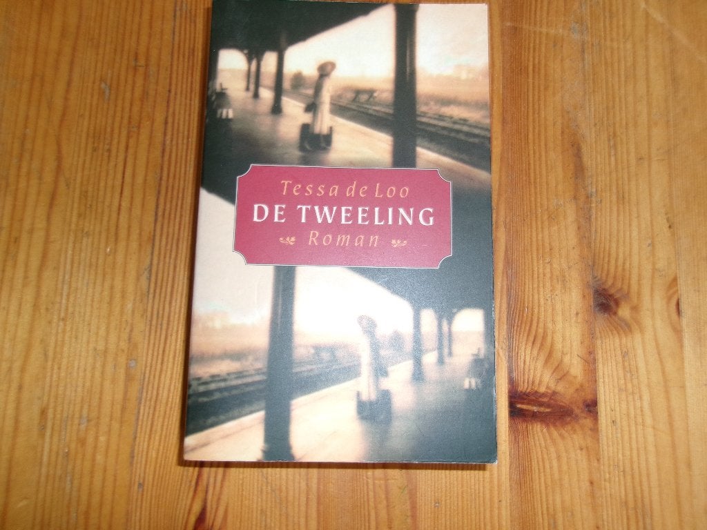 Tessa de Loo - De tweeling, Ophalen of Verzenden, Gelezen