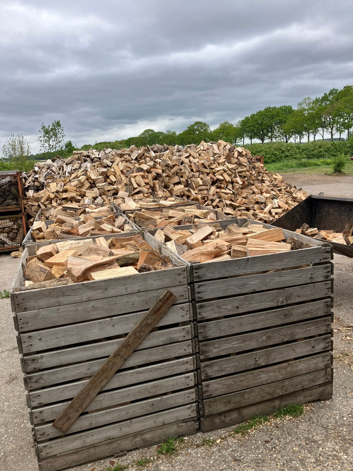 #Brandhout, haardhout, #aktie#, Tuin en Terras, 6 m³ of meer, Ophalen