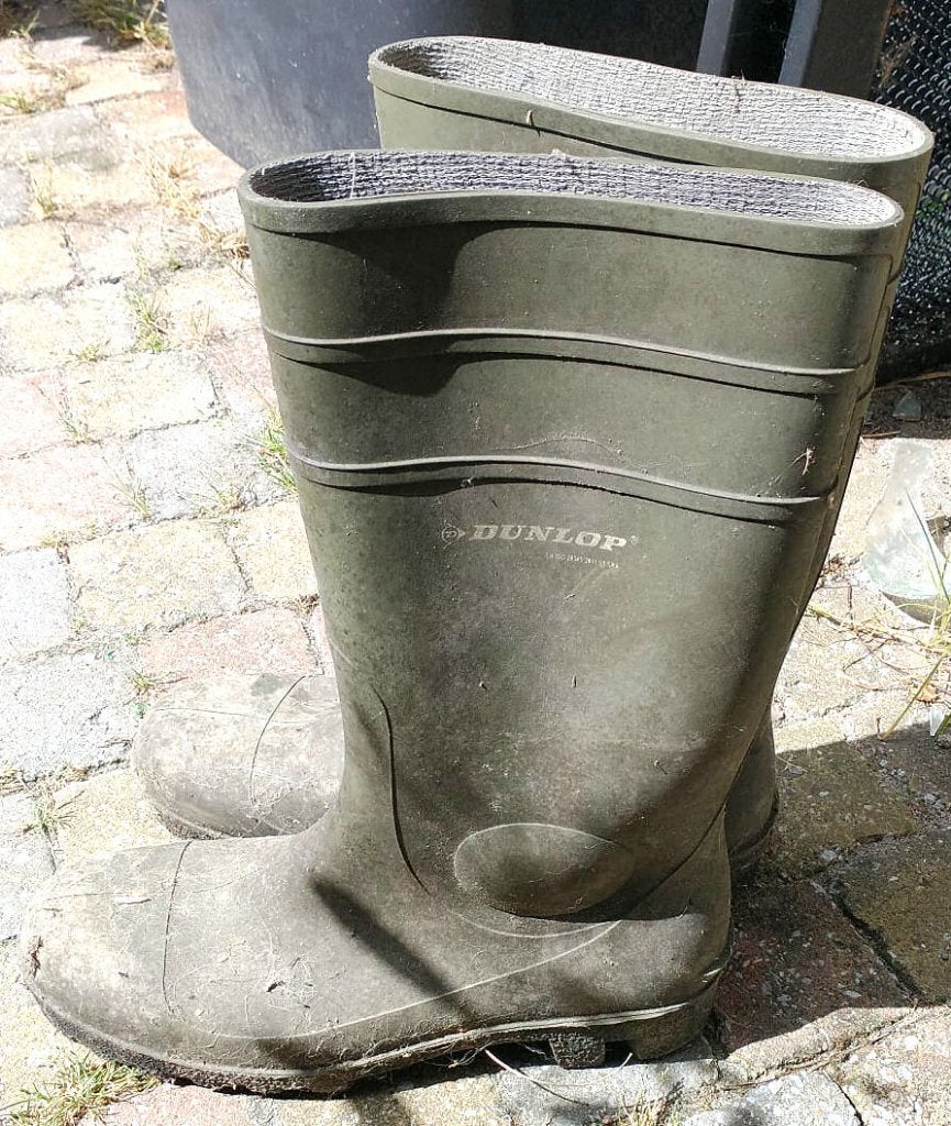 Dunlop regenlaarzen, Ophalen, Overige kleuren, Regenlaarzen, Dunlop