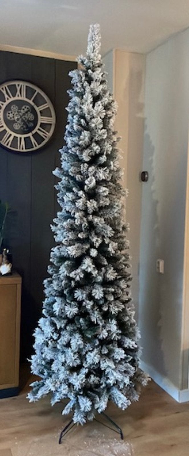 Kerstboom 1 jaar opgezet, Diversen, Ophalen, Nieuw