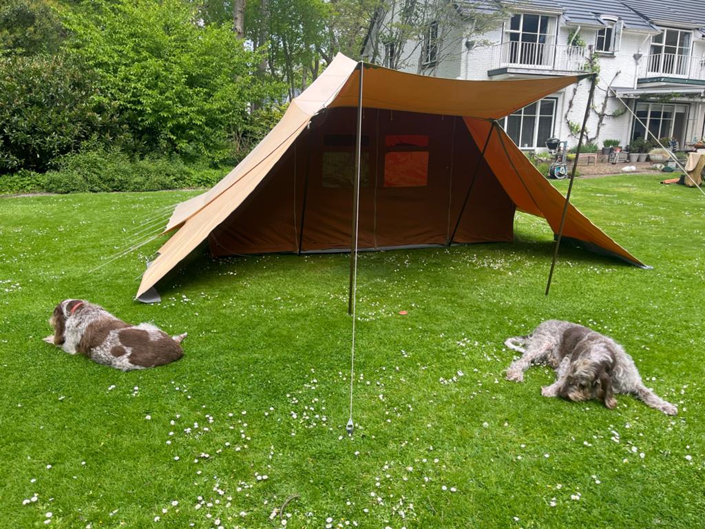 De Waard Albatros tent - 100% katoen, zeer ruim, Caravans en Kamperen, Tenten, Ophalen of Verzenden, Gebruikt, Tot en met 6