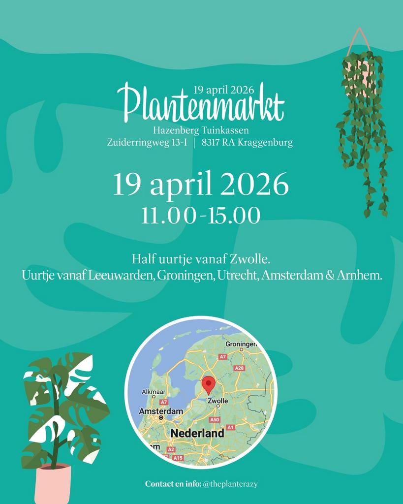 Plantenmarkt 19 april Kraggenburg, Huis en Inrichting, Kamerplanten, Ophalen of Verzenden, Halfschaduw, Minder dan 100 cm