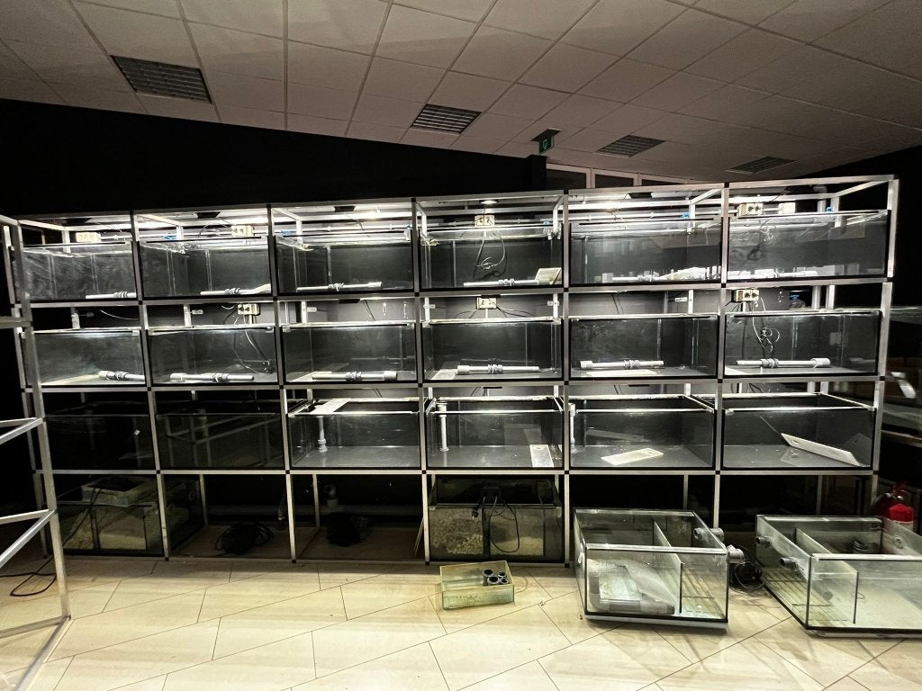 Grote aquariumstelling helemaal compleet, Ophalen, Zo goed als nieuw, Leeg aquarium, Overige merken