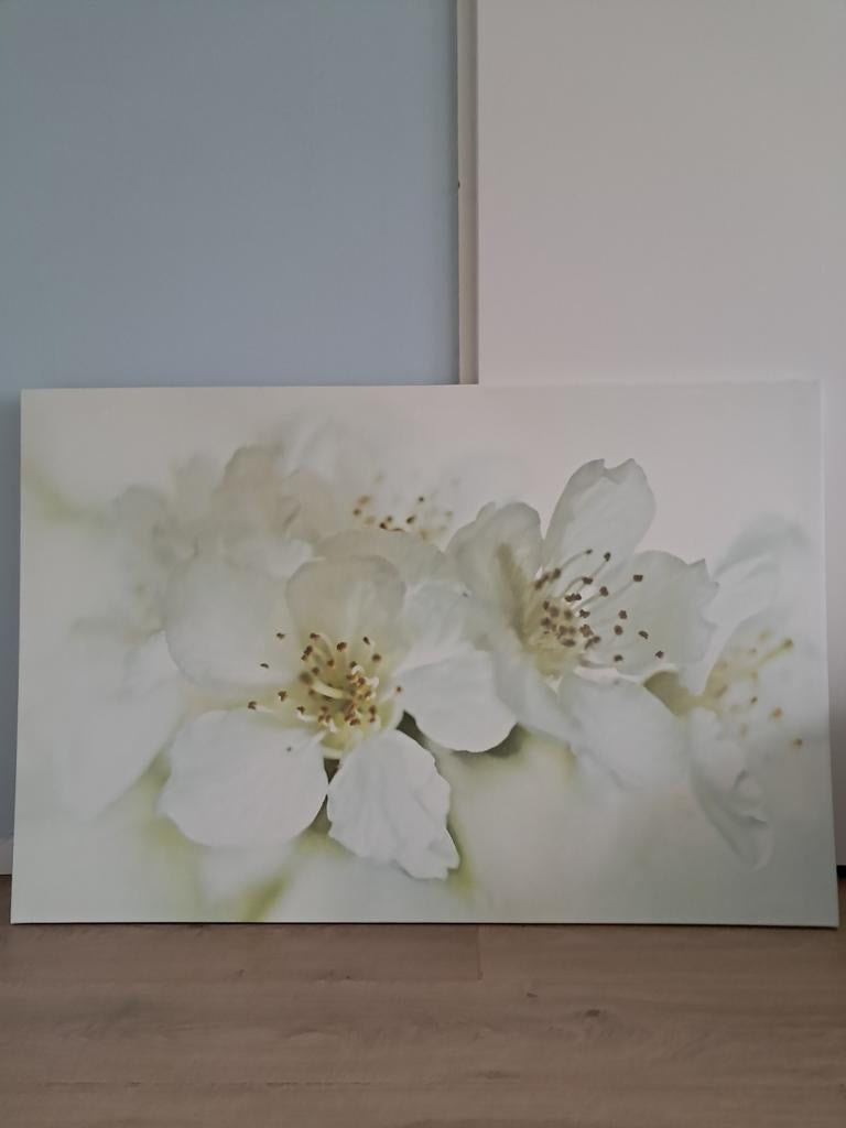 IKEA PJÄTTERYD canvas met witte bloemen 120x80cm, Ophalen of Verzenden, Gebruikt