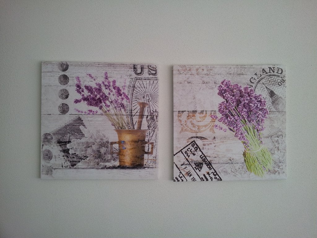 2 Canvas doeken, Huis en Inrichting, Woonaccessoires | Schilderijen, Tekeningen en Foto's, Ophalen, Minder dan 50 cm, Overige typen