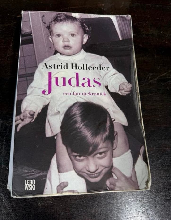 Judas - Een familiekroniek door Astrid Holleeder, Ophalen of Verzenden, Gelezen, Overige
