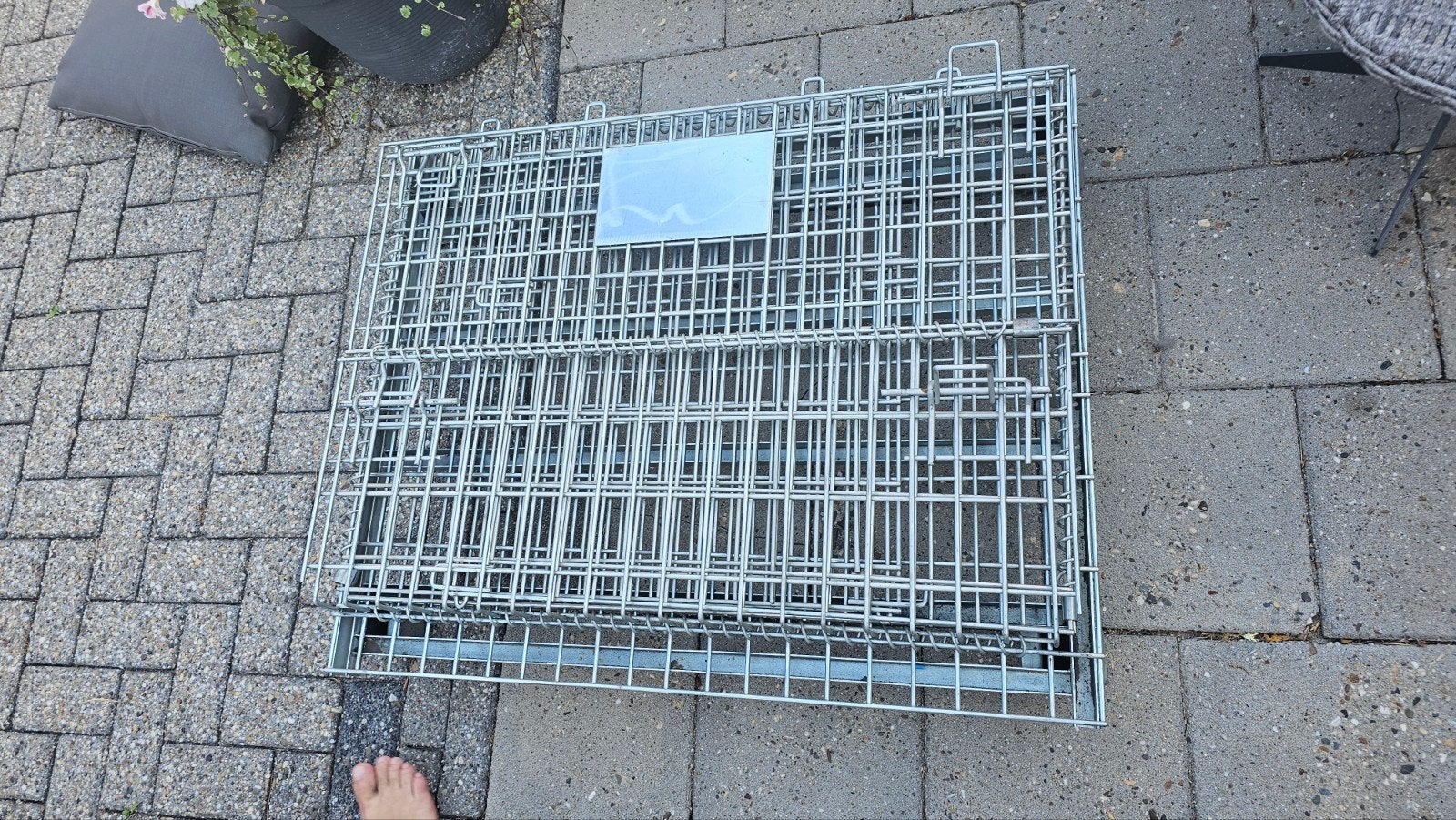 Werpkist kat/hond (BENCH), Ophalen, Zo goed als nieuw, 110 cm of meer, 65 tot 100 cm