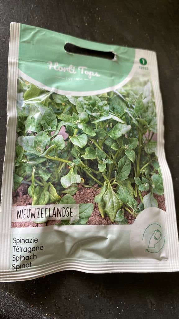 Spinazie plantjes (nieuw zeeland), Tuin en Terras, Ophalen, Volle zon