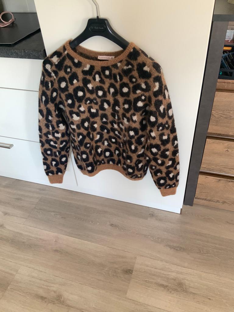 Leuke trui mt S van STUDIO ANNELOES heel klein prijsje, Kleding | Dames, Truien en Vesten, Ophalen, Gedragen, Overige kleuren