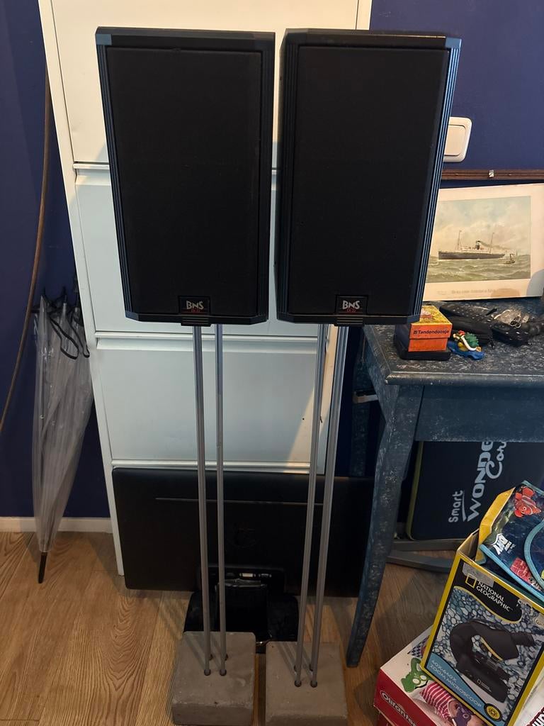 BNS EX-22 luidsprekers, Overige merken, Gebruikt, Ophalen of Verzenden, Minder dan 60 watt