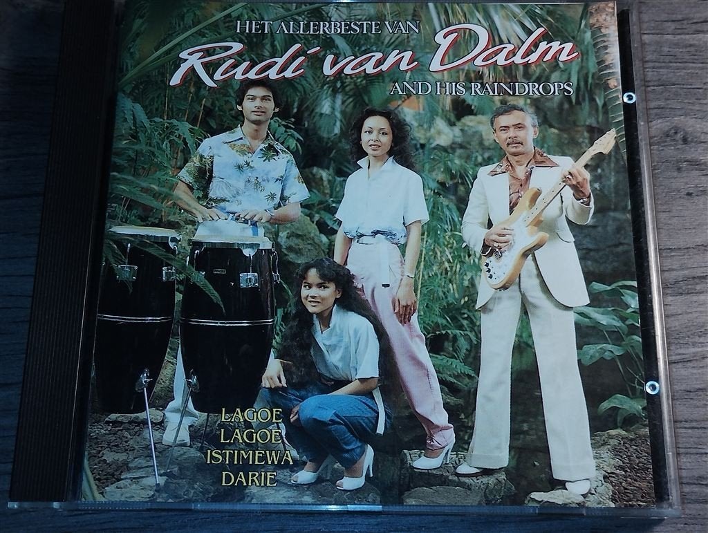 Rudi van Dalm And His Raindrops - Het Allerbeste Van, Ophalen of Verzenden, Zo goed als nieuw