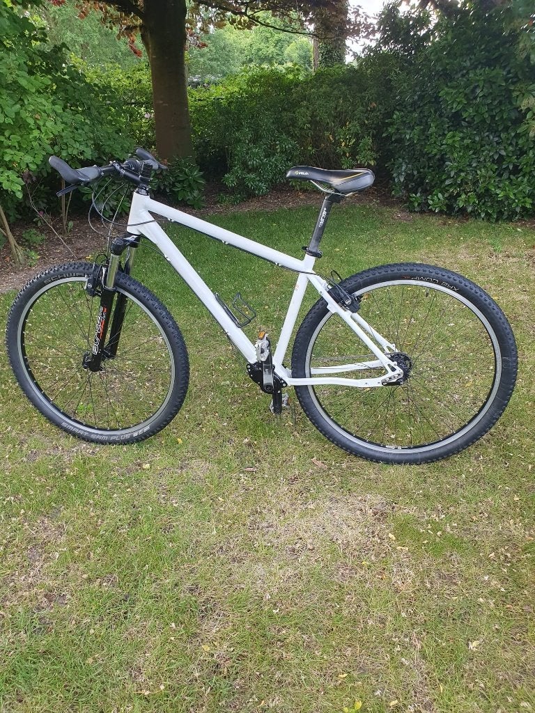 Mountainbike/Endurance bike/Stadsfiets Pinion P1.18, Fietsen en Brommers, Hardtail, Velgrem, Zo goed als nieuw, 53 tot 57 cm